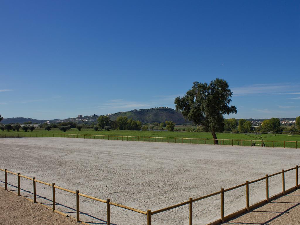 Vale De Ferreiros Pensionat Abrantes Exteriör bild