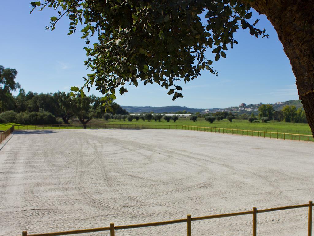Vale De Ferreiros Pensionat Abrantes Exteriör bild
